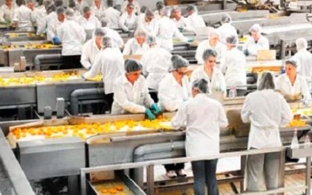 Пищевая промышленность: инновации и результаты для рынка